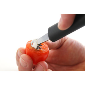 Cuchara para melón dentada - Marca HENDI - Fourniresto