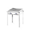 Barbacoa de gas Green Fire con 2 quemadores - Marca HENDI - Fourniresto