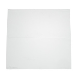 Servilletas de papel para aperitivos blancas de 1 capa 330 x 330 mm - Lote de 5000 - FourniResto