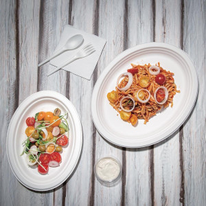 Platos Ovalados Compostables de Bagazo 316mm - Lote de 50, Entrega Rápida, Alta Calidad